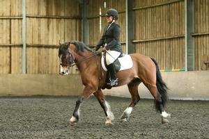 Isis Dressage Crown Farm Show 29th April 2012